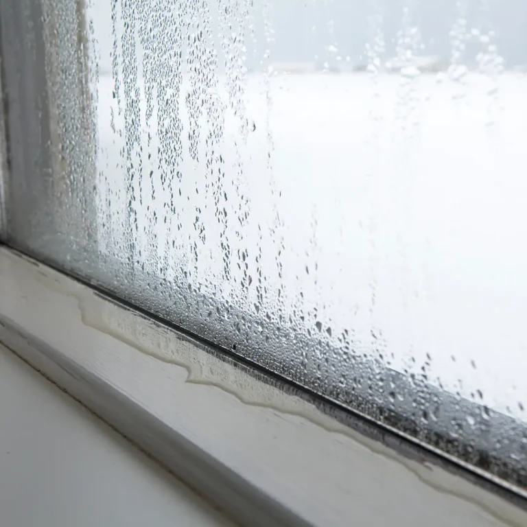 Condensation sur une vitre en hiver
